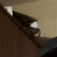 , 48 , 
