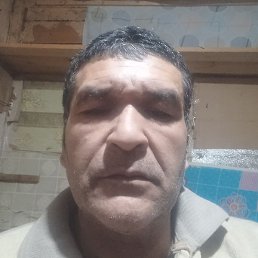 �����������, ����, 49 ���