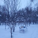 ���� ������, ���������, 57 ��� - ��������� 15 ������� 2024 � ������ ���� ����������