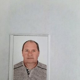 , 52, 