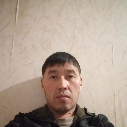 , 33, 
