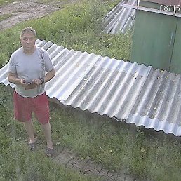 , 54 , 