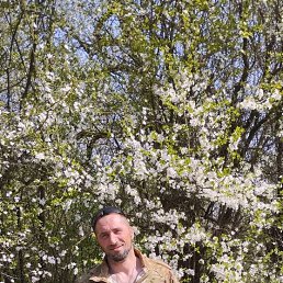 , 47 , 