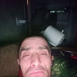 , 41, 
