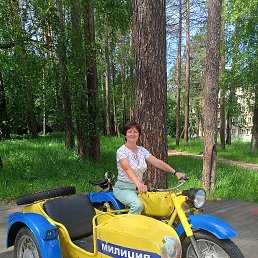 , 61, 