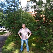 ����, 51 ���, ������