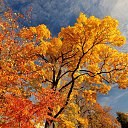 ���� ������, �������������-���������� - ��������� 22 ������� 2025 � ������ �� ������� �����...�