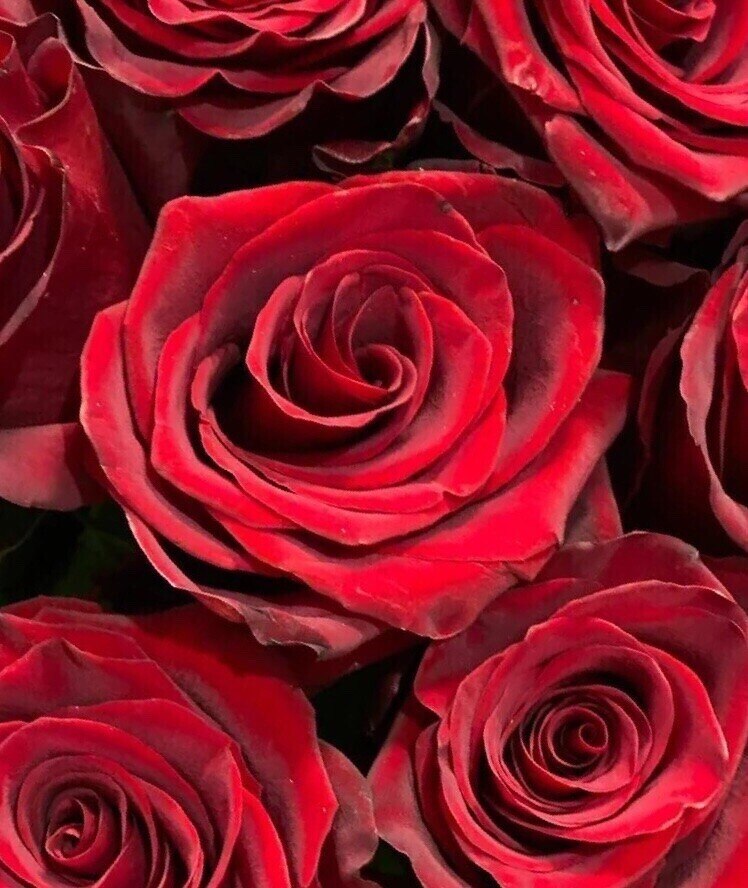  - 6  2023  23:17 - 7