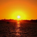 ���� �����, ���������, 43 ���� - ��������� 26 �������� 2024 � ������ ���� ����������