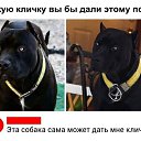 ���� ����, ��������� - ��������� 7 ������ 2026 � ������ ������ ��������