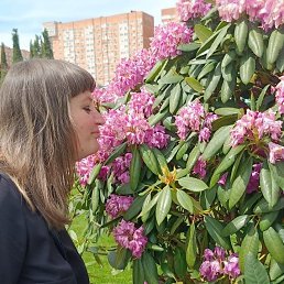 , 38, 