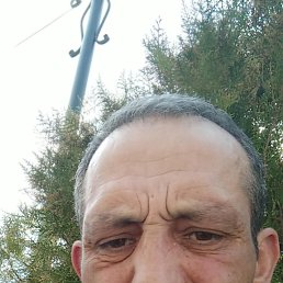 , 49, 