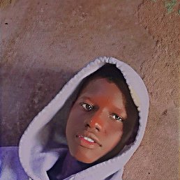 Alasco Le Canadien, 17, 