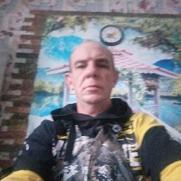 ������, 41 ���, ������