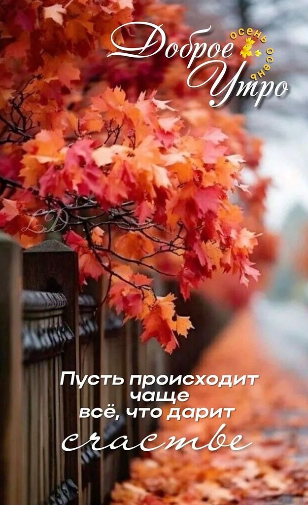   ,    . - 26  2024  20:09