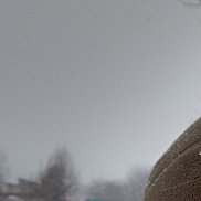 ������, 36 ���, ������