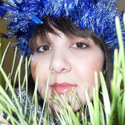 �����, ������, 29 ���