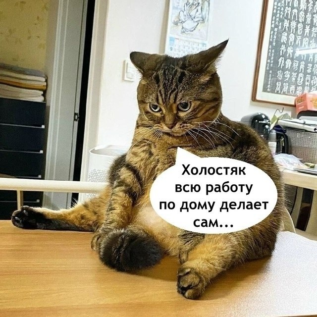 Сане все приходится делать самому - 2