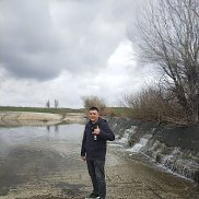 , 31 , 