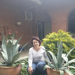 , 59, 