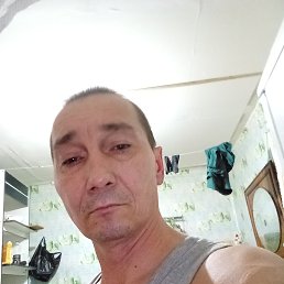  , 41, 