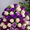 ���� ����, ������ - ��������� 26 ������ 2026