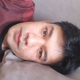 , 29, 