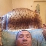 , 43 , 