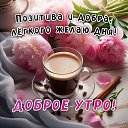 ���� Maxim, ���� - ��������� 20 ���� 2026 � ������ ������ ��������