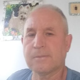 , , 53 
