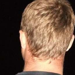 �����, ������������, 41 ���