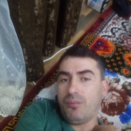 ���� Taiger, ������, 42 ���� - ��������� 14 ��� 2024