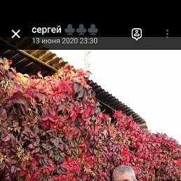 , 57, 