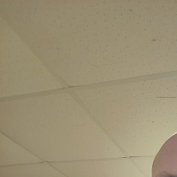 ������, ������, 36 ���