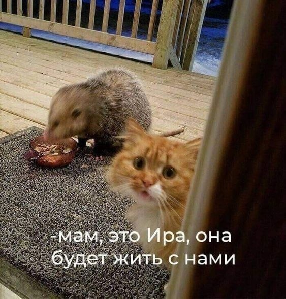   ???  