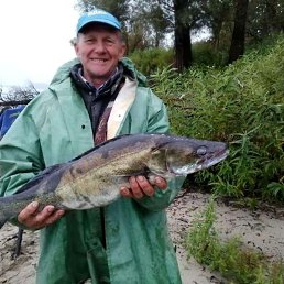 ���� �������, ��������, 66 ��� - ��������� 15 ������� 2025