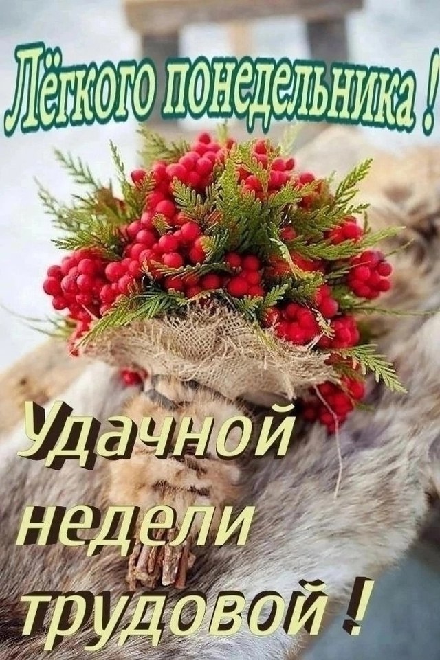   ,    . - 22  2024  22:43
