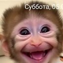 ���� �������, ������, 47 ��� - ��������� 10 ������ 2025 � ������ ���� ����������