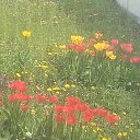 ���� ������, ���������, 57 ��� - ��������� 16 ������ 2025 � ������ ���� ����������