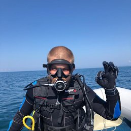 ���� ������, ������-��-����, 39 ��� - ��������� 24 ����� 2024