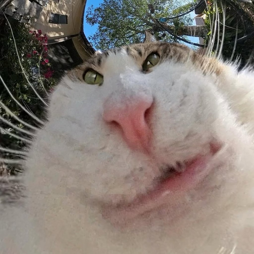 Кто-то осмелится поспорить, что это не самые крутые фотки в интернете? Только попробуйте - 6