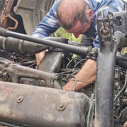 ���������, �����, 50 ���