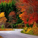 ���� �������, �����, 35 ��� - ��������� 22 ������� 2023 � ������ ������ ��������
