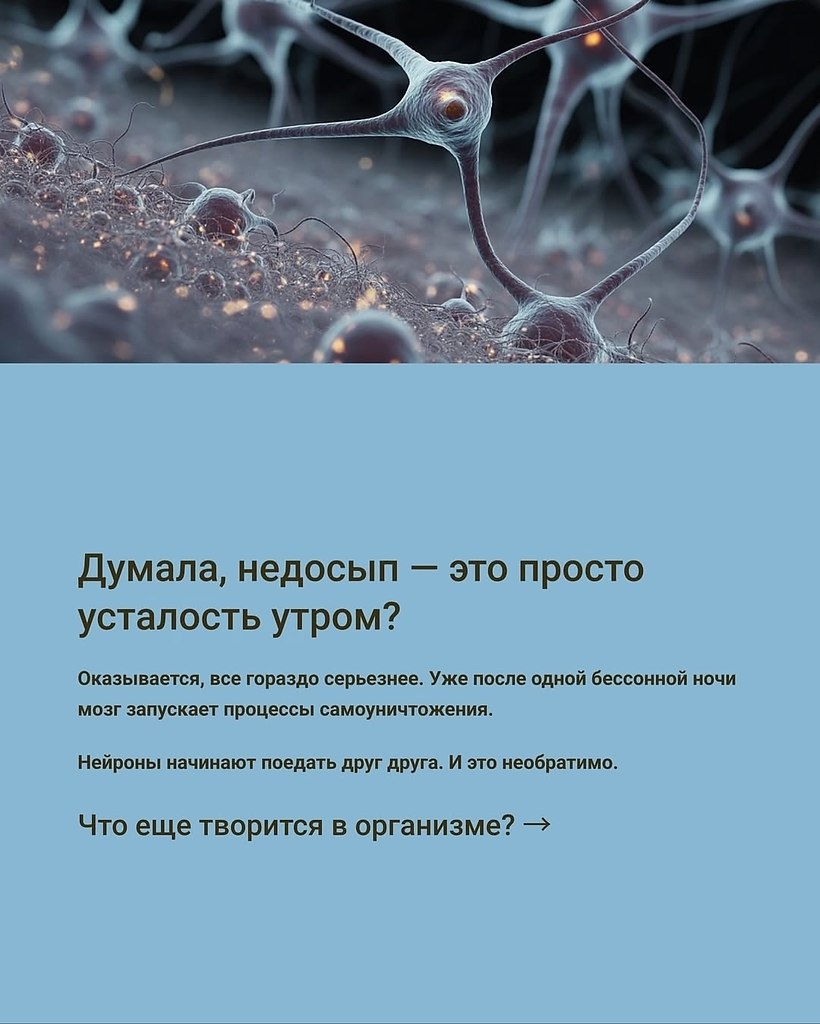 Хорошо высыпайтесь - 3