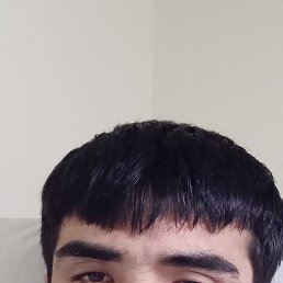 ���� Alisher, ������, 26 ��� - ��������� 16 ����� 2024