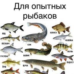 , , 42 
