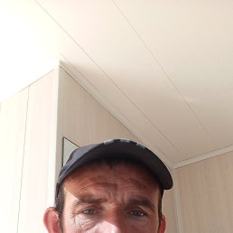 , 43, 