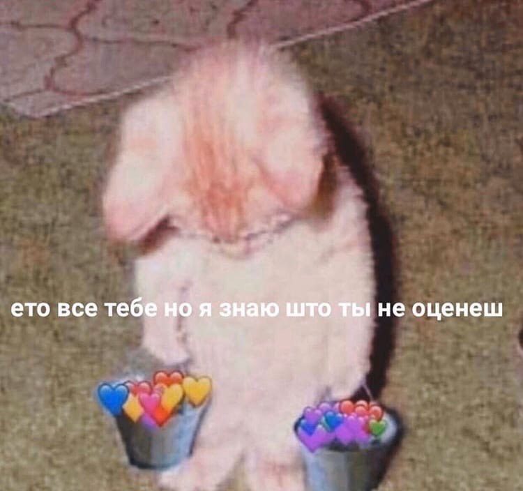    - 20  2024  18:13