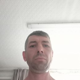 , 41, 
