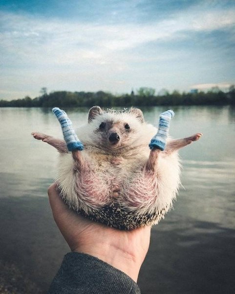 ce ����� ���a�� �o�a! - 8